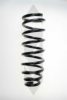 SPIDAN 55544 Coil Spring